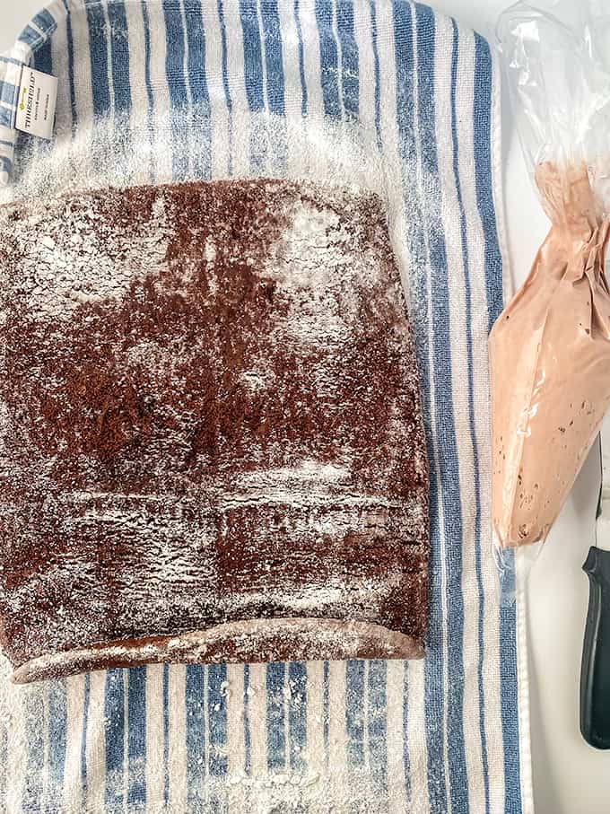 Yule Log Cake (Bûche de Noël)