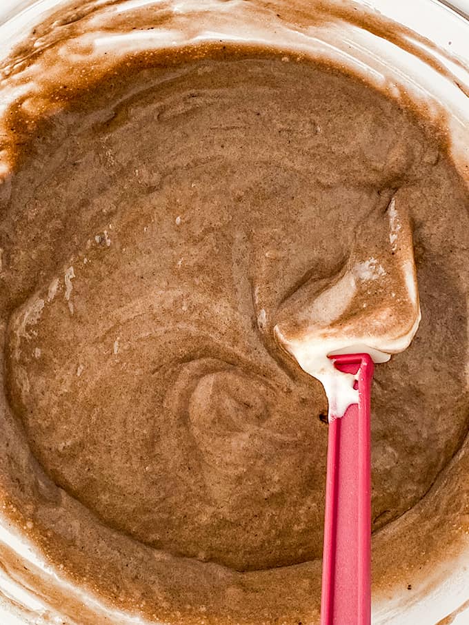 Yule Log Cake (Bûche de Noël)