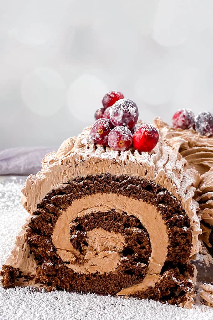 Yule Log Cake (Bûche de Noël)