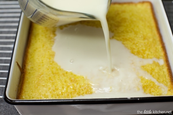 Coconut Tres Leches Cake // Epcot Flower & Garden Festival Coconut Tres Leches Cake // Epcot Flower & Garden Festival